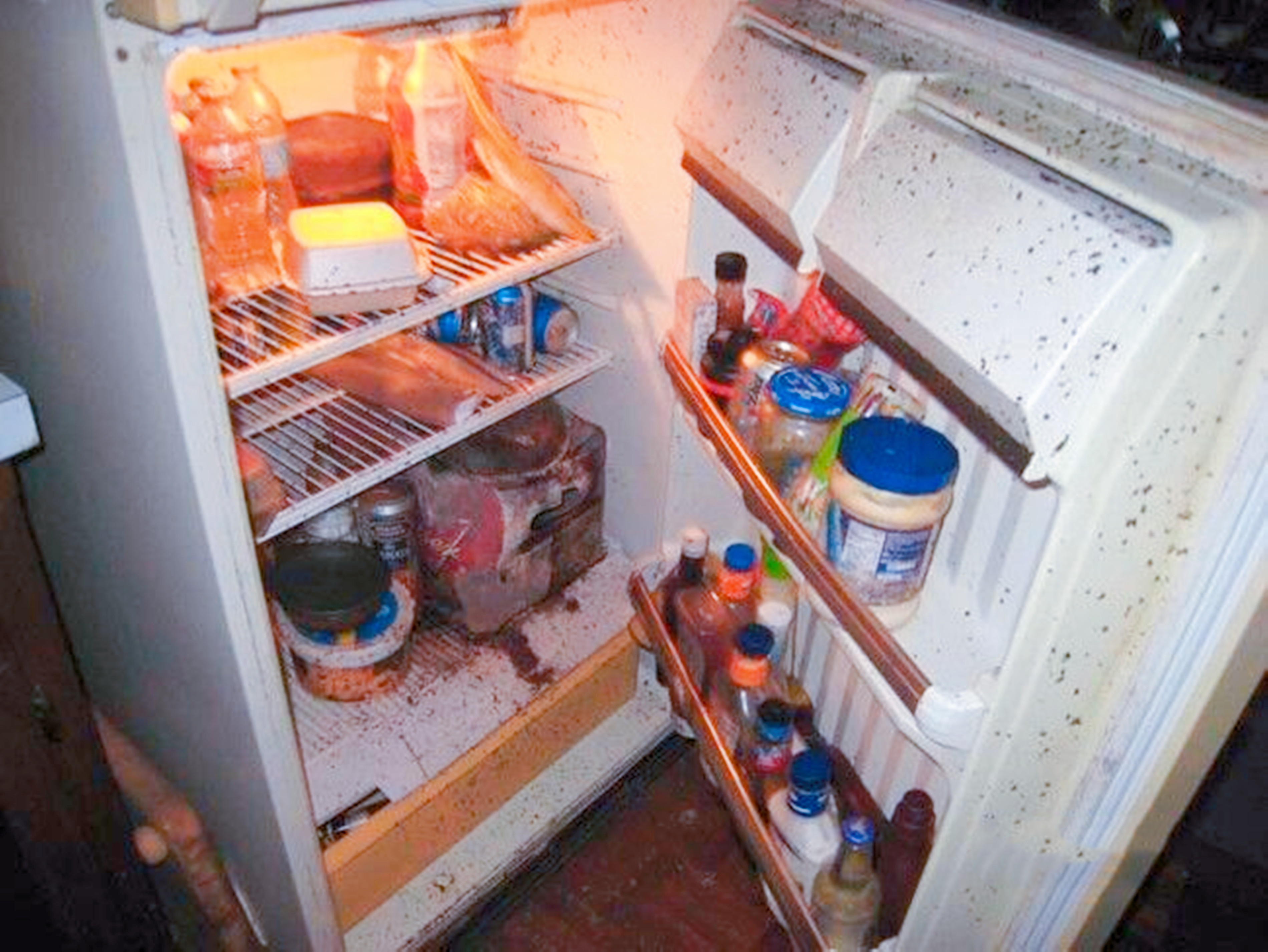 The refrigerator has a peculiar smell, it may be "full" of bacteria. I