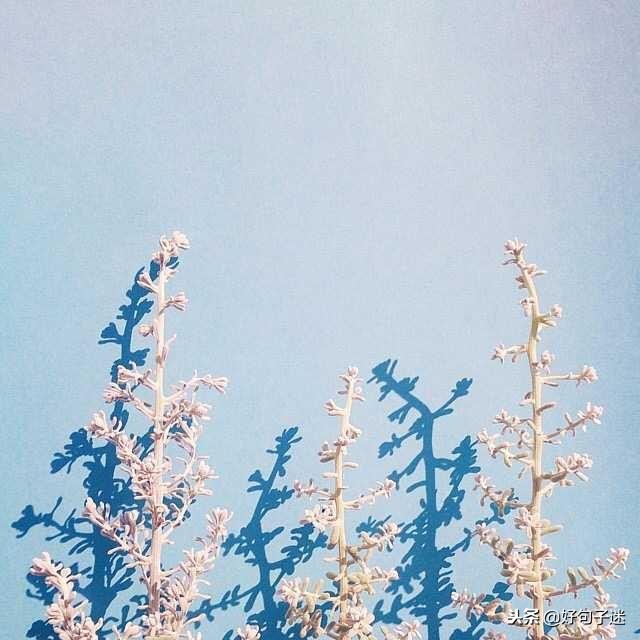 最好最简短的唯美句子 励志的句子致自己简短图片