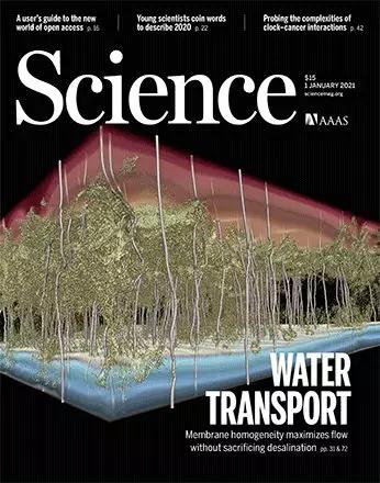2021年第一篇《Science》封面文章誕生