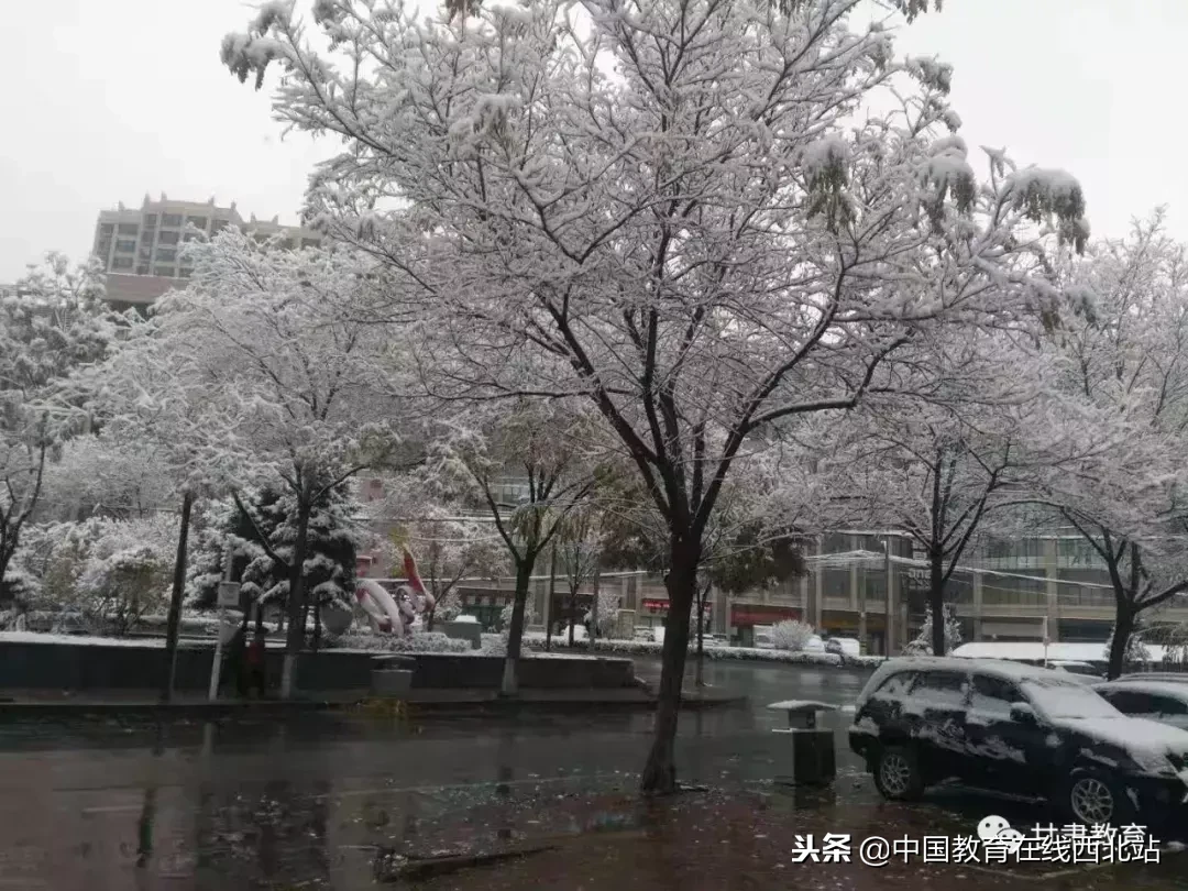 甘肃初雪|甘肃18所高校初学雪景大PK,快来看看有你的母校没?