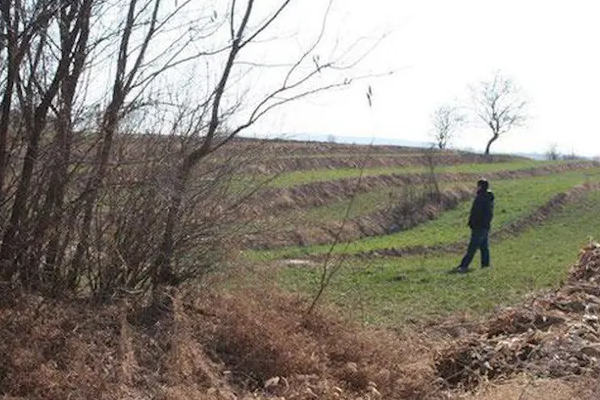 湖北老农家里祖坟冒青烟，专家立刻挖开检查，