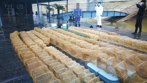 2020年武漢警方查獲非法捕撈案77起，抓獲110人