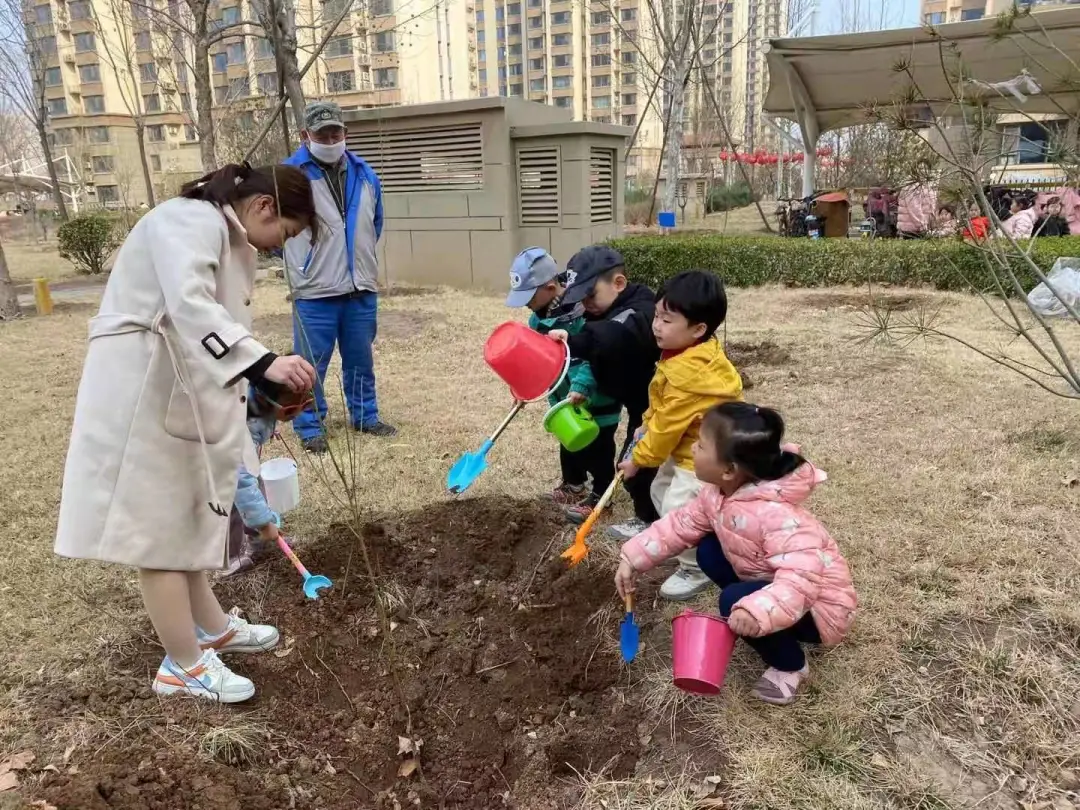 「泰华生活服务·植树节」让我们一起行动起来