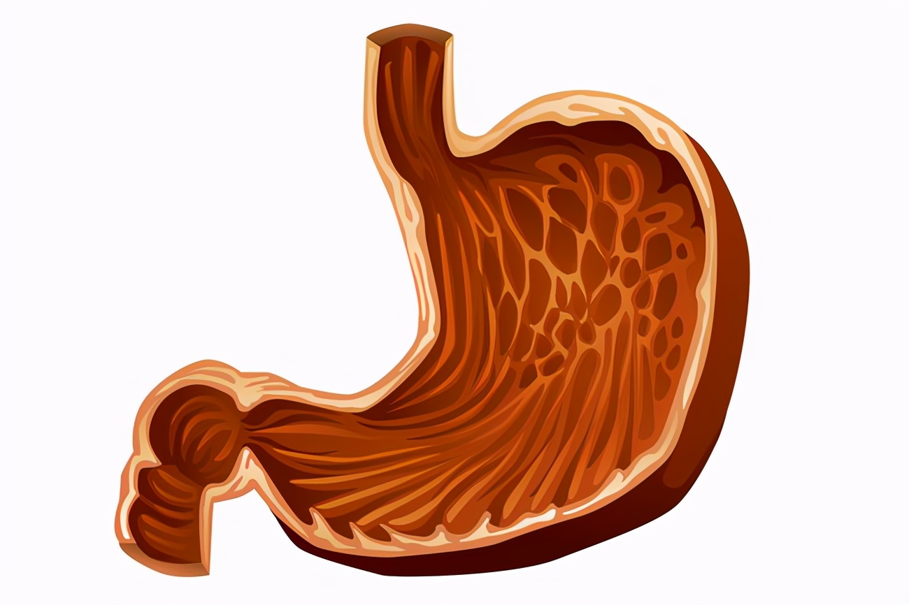 Does corn hurt or nourish the stomach?Perhaps most people don't know