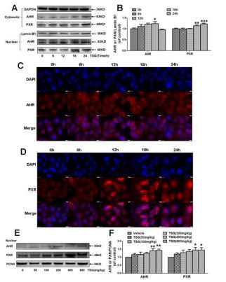 防脫乾貨，真實經歷分享！ 如何戰勝脫髮，本文總結多種方法