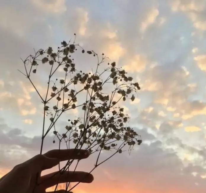 心态放好一切都很美好 致自己越来越好的句子图片
