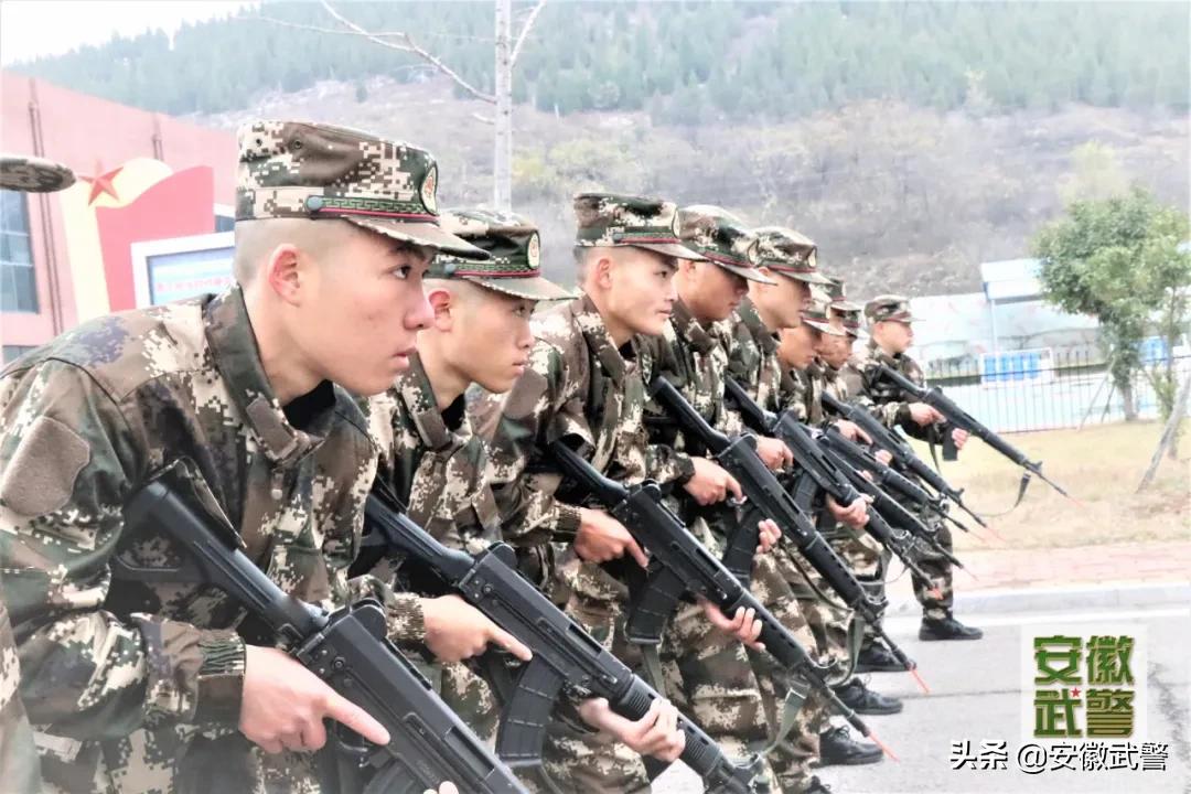除了长得好看的，这些“专业的”也上交国家了！