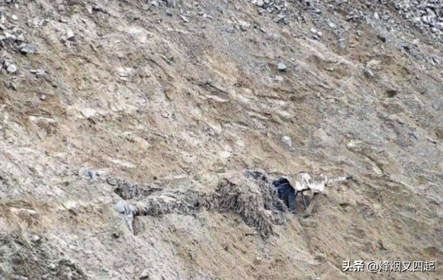 狙击手在沙漠中伪装，找出3个是行家，全部找出