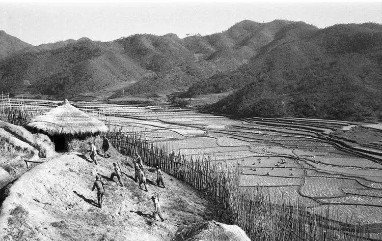 志愿军38军兵败白马山，6700余人白白牺牲，此战发生了什么