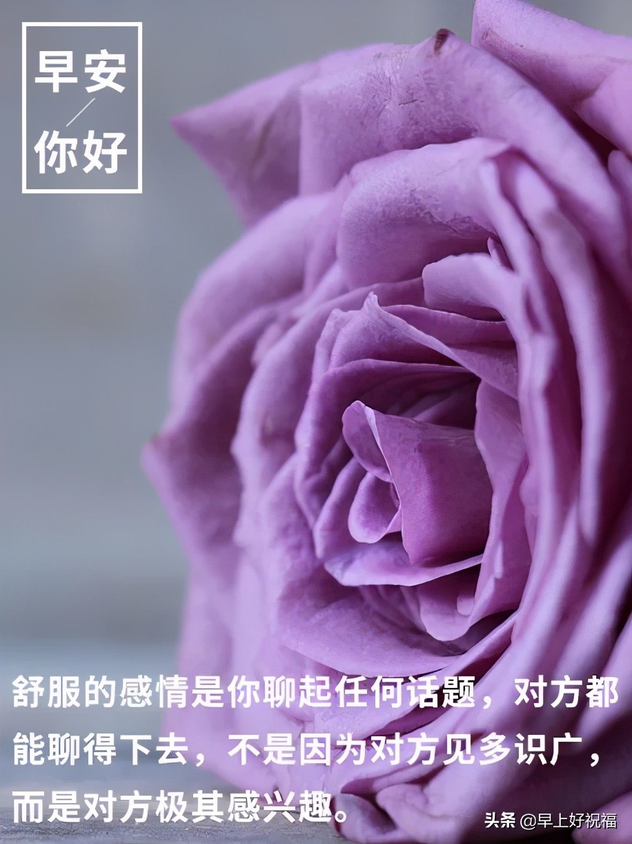 21年5月7日 星期五 新的一天从早安心语开始 早上好祝福 Mdeditor