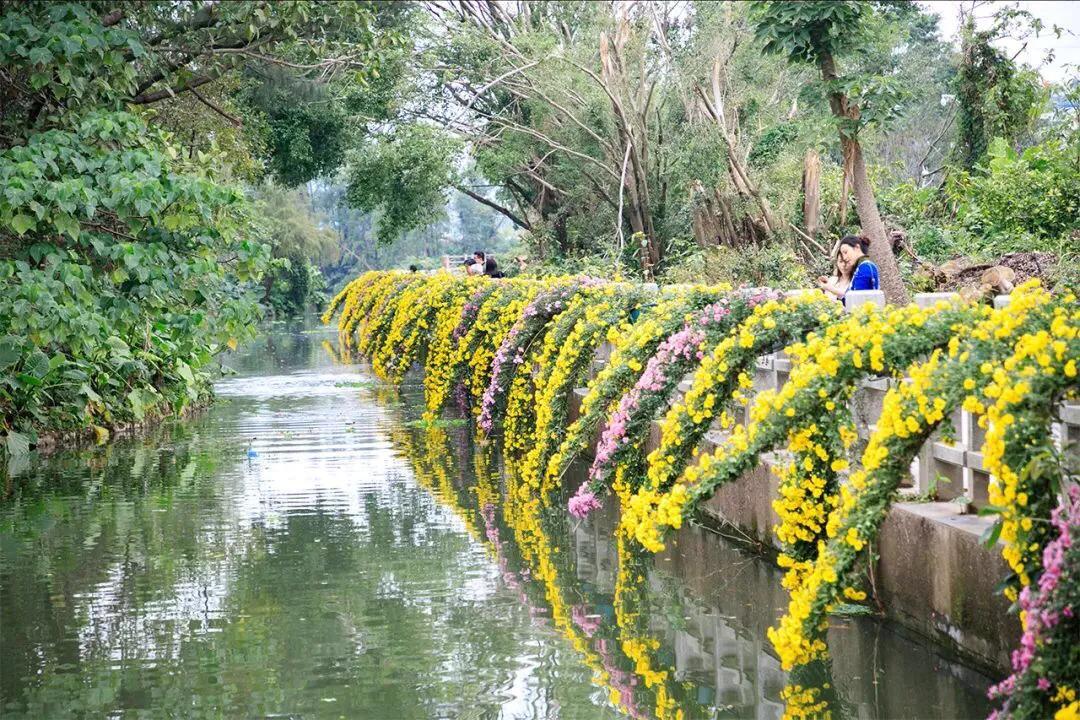 深圳十大免费特色的湖泊公园