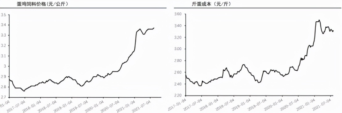 消费旺季 鸡蛋“跌跌不休”意欲何为