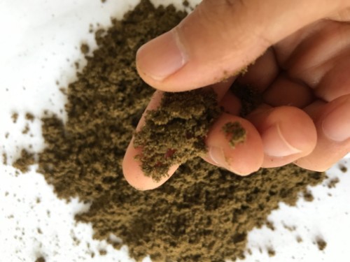 地衣芽孢杆菌的作用