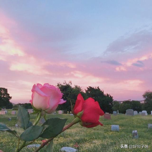 一些感动肉麻的情话说说 最肉麻感动女人的情话图片