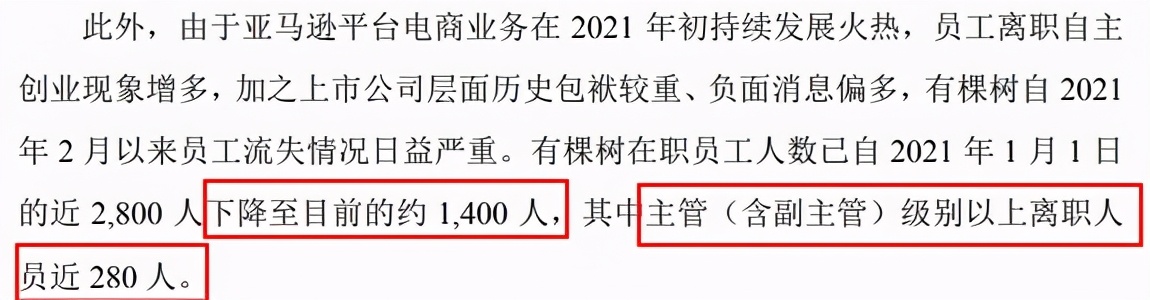 亚马逊狠手封店340个后，净亏损7.4亿！有棵树何去何从？