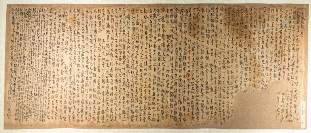 殷墟甲骨、马王堆帛书、敦煌医书……全国首个中医药文物展即将在川开展！
