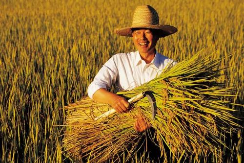 现在都有什么政策保障农民的养老？北京的做法