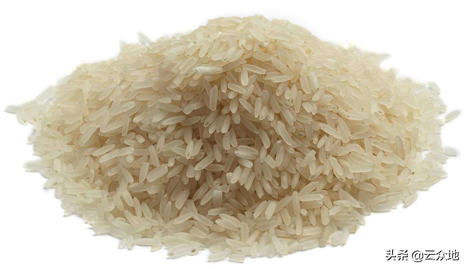 1 grain of germ rice is about 108 grains of polished white rice, really