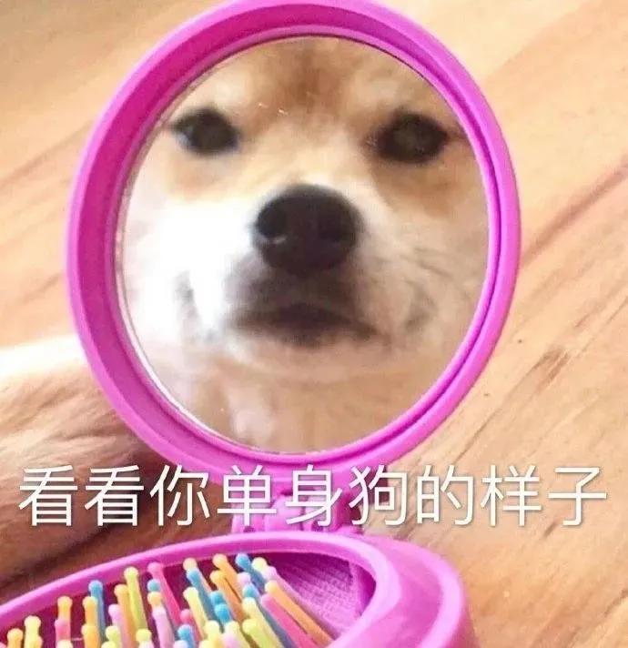 致各位单身小能手～且单且珍惜脏纸巾