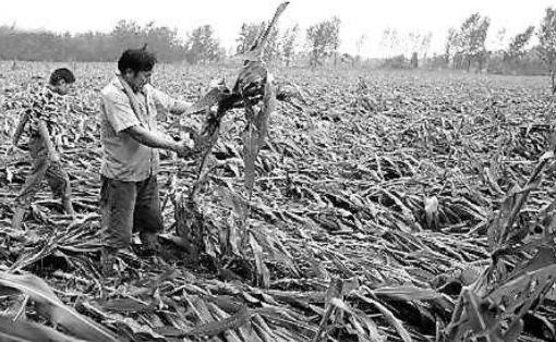 中国遭受的最大天灾，数亿人死亡，不然人口已