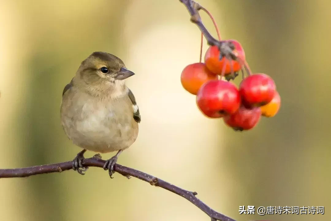 35句励志经典诗词,选一个作为你的座右铭-第4张图片-非凡网 35句励志经典诗词,选一个作为你的座右铭-第4张图片-非凡网