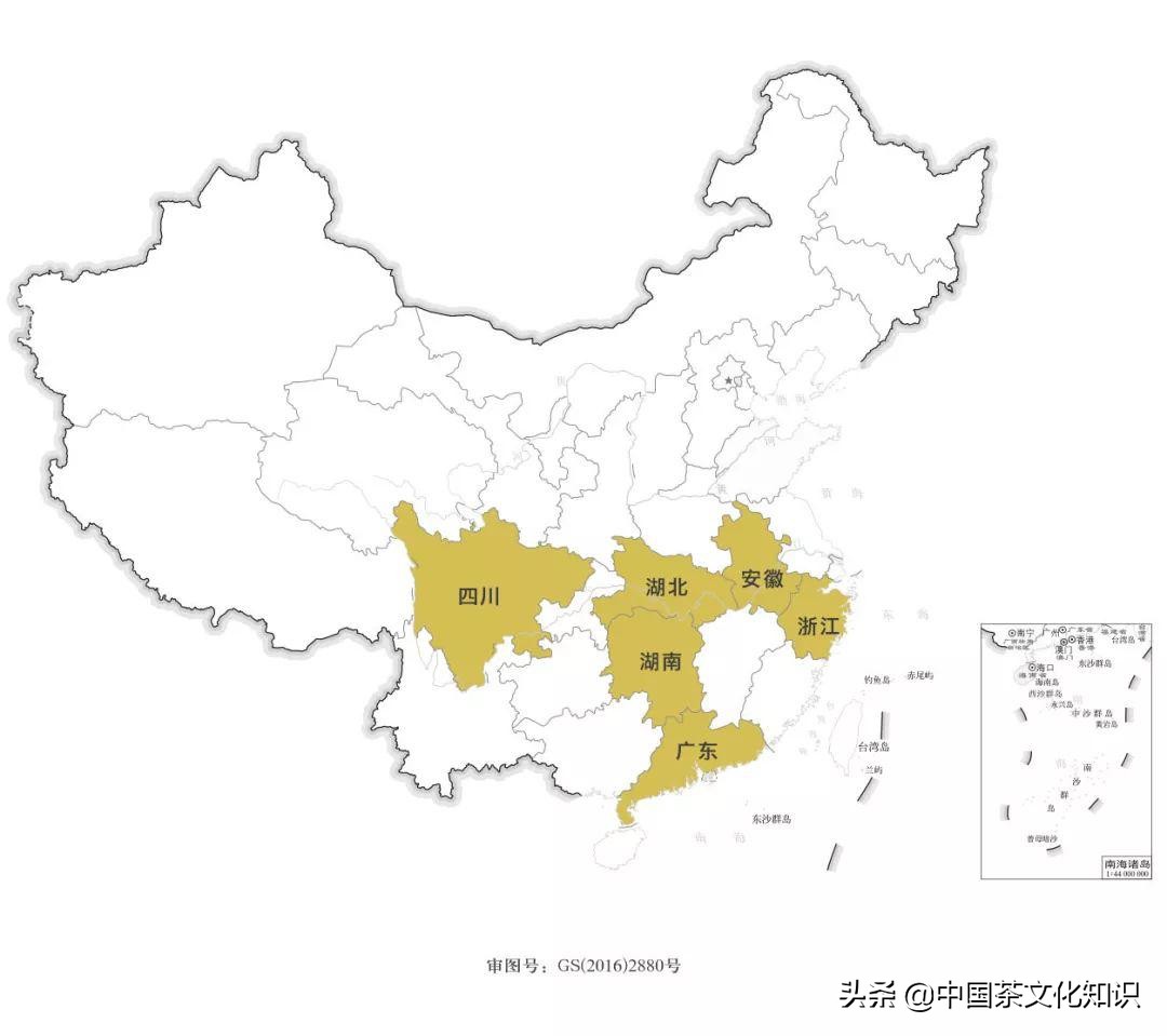 一篇文章看完全中國99%的茶（一定要收藏）