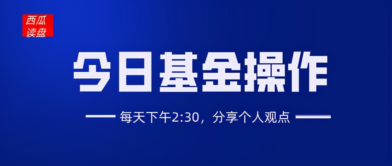 芯片、医药、券商、科技等板块今日分析及操作
