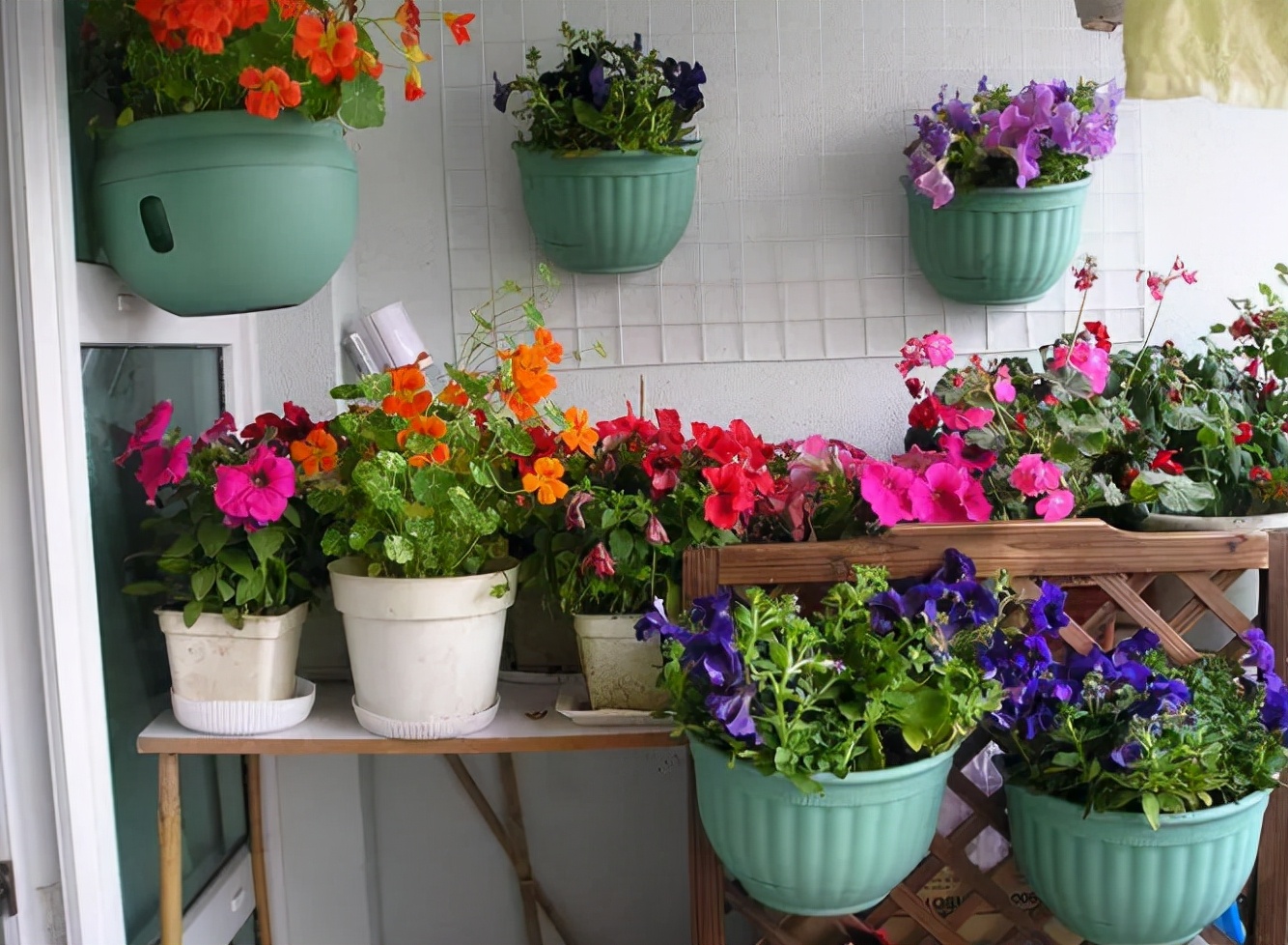 To grow flowers indoors in winter, "3 defenses" must be done to ensure