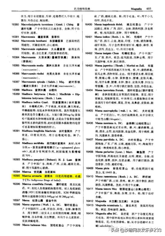 一种很神秘的印度水果，吃法如兰州拉面的牛肉