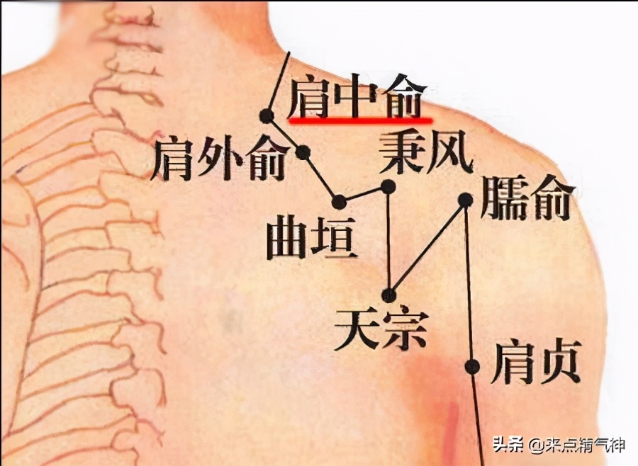 不同寒症分别养（一）关节冷痛风寒湿，保暖已无效！奇穴应对
