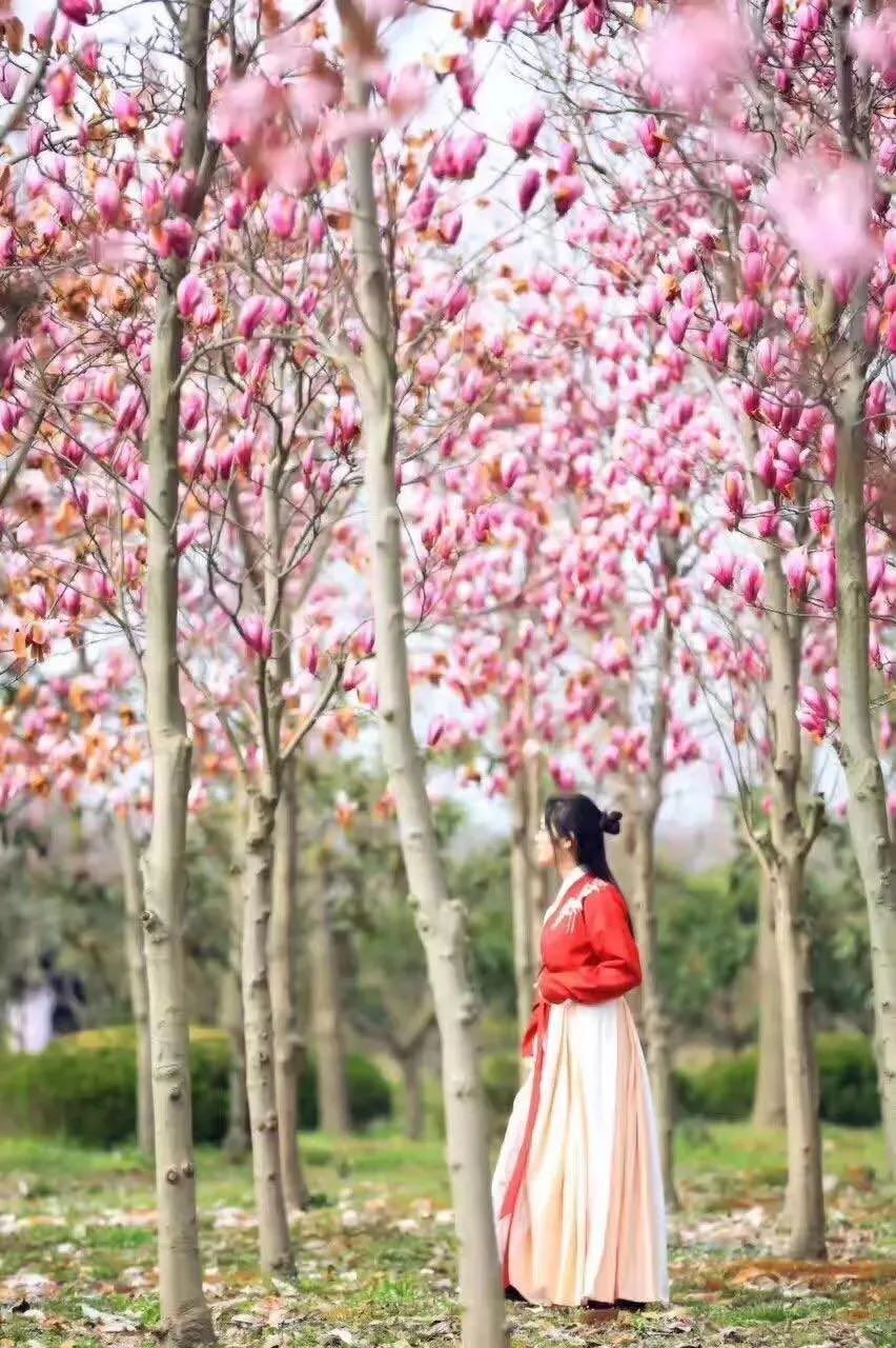 三八女神节，相约宋夹城慢享油画时光