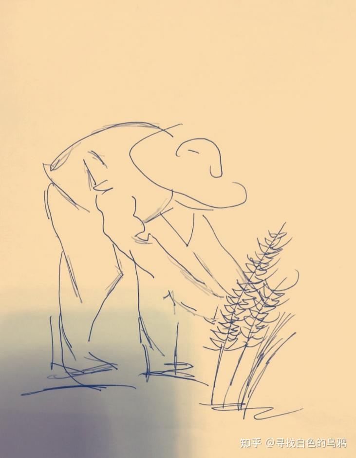 你在种小麦吗？不，我在进行一场修行997 / 作者:UFO爱好者 / 帖子ID:69717