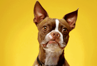 如何在抖音上面开直播？如何在抖音上面卖货？这两不是本质问题