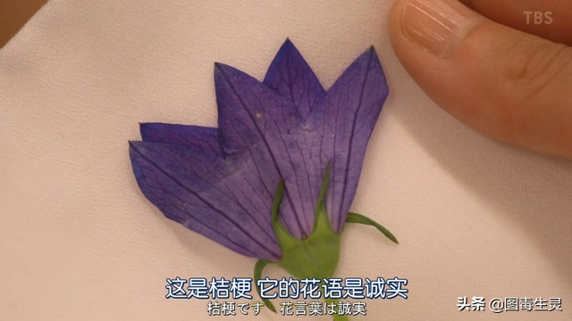 コレクション薇花言葉 就活髪型男