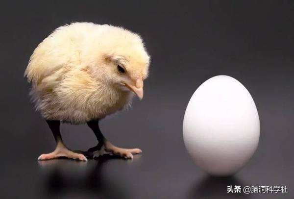 何為“薩托幻方”？什麽是“熵”？腦洞解讀諾蘭《信條》謎題