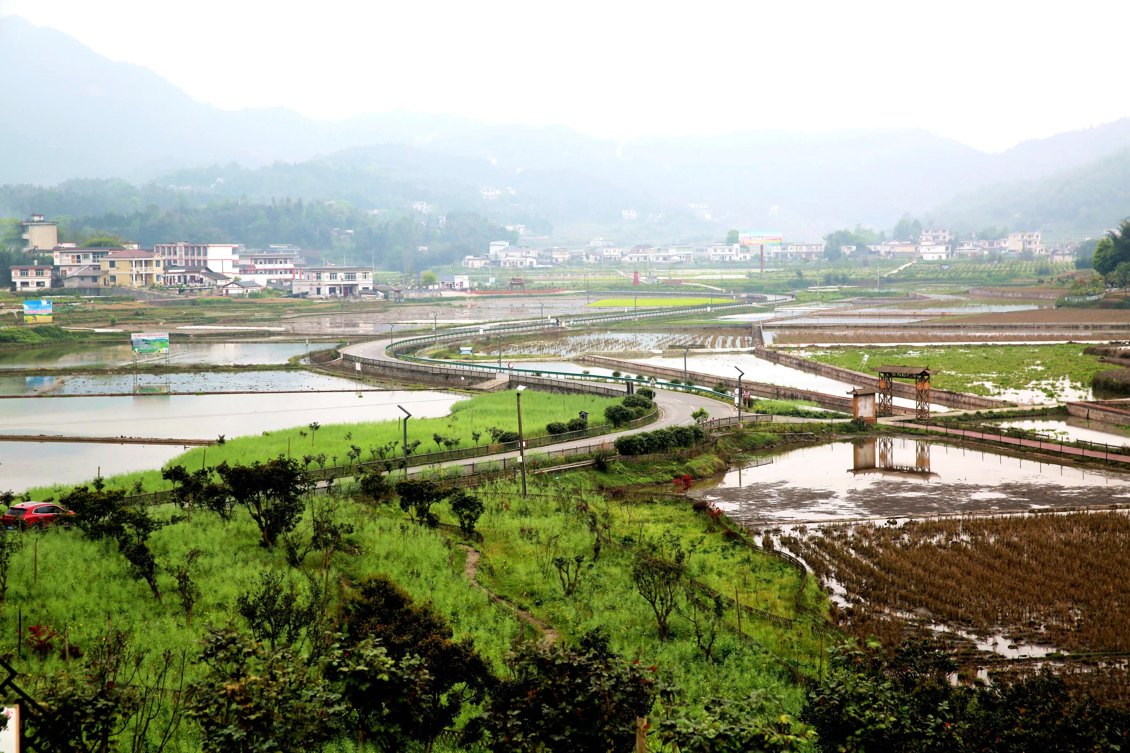 四川兴文县因地制宜发挥生态原产地优势加快特色农业发展