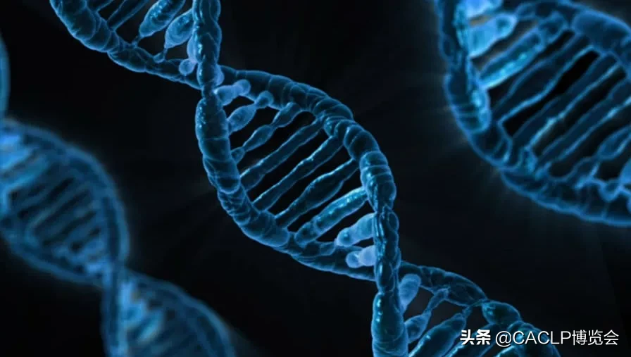 臣邦医药携手医脉赛助力疾控中心/医院建设新冠病毒核酸检测能力