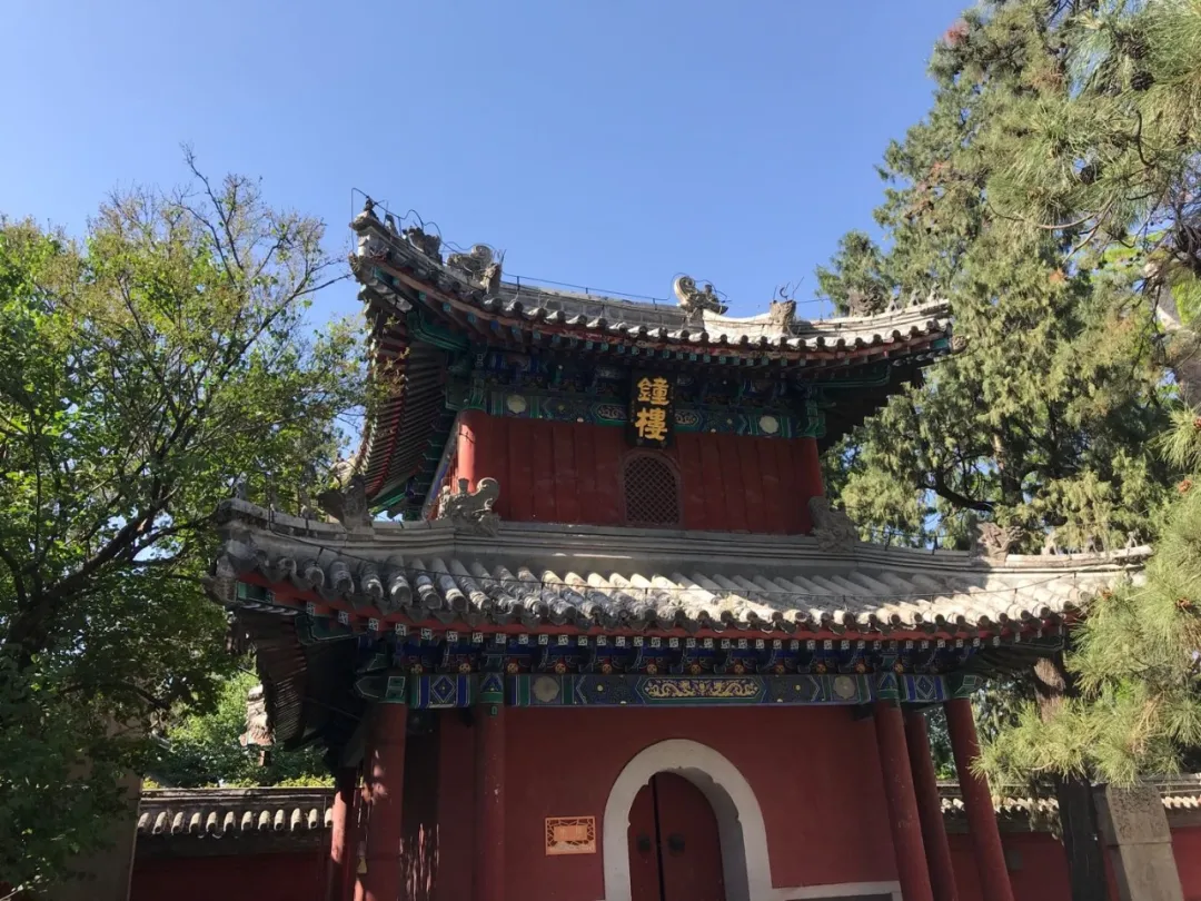 Find the quietness of ancient temples, and enjoy the beautiful scenery of early autumn at Tanzhe Temple and Jietai Temple!