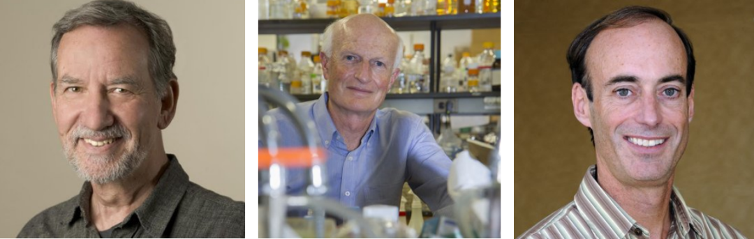 2020年诺奖颁布在即，生命科学领域谁最有望摘取桂冠？