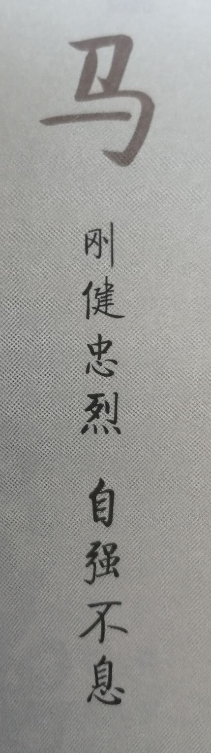 漢字說十二生肖之 馬 Kgkd苑文麒翔 Mdeditor