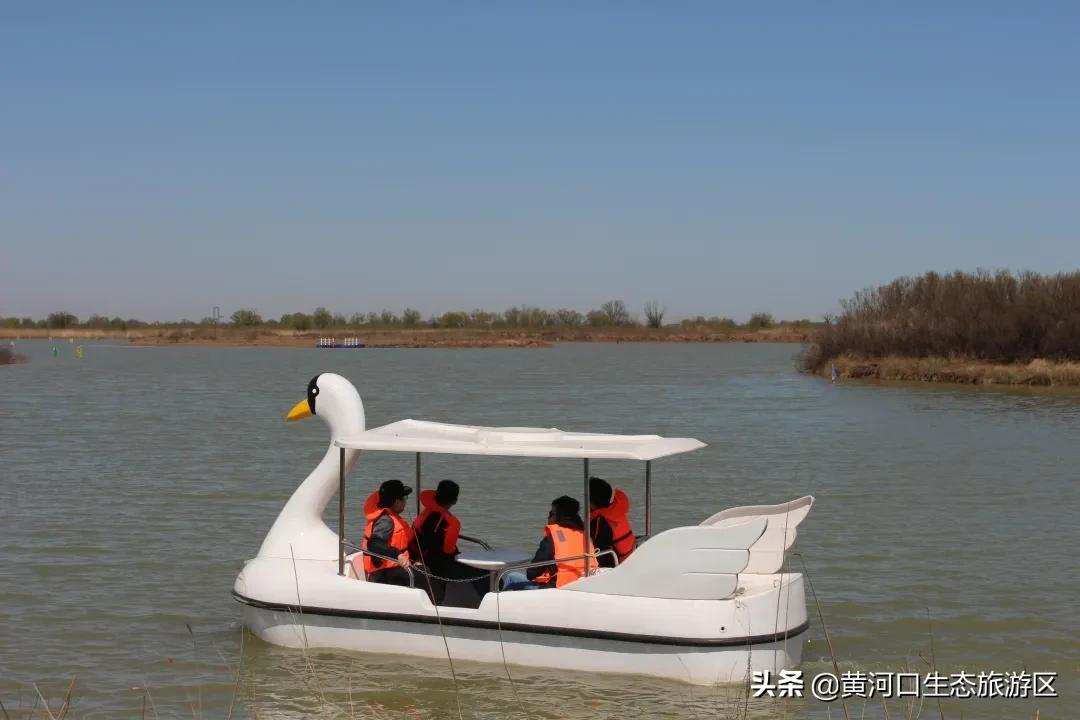 踏青正当时,莫负好春光
