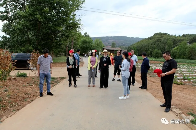 握指成拳 汇聚“生物多样性保护”最强合力 曲靖市检察院邀请人大代表、政协委员视察公益诉讼检察工作
