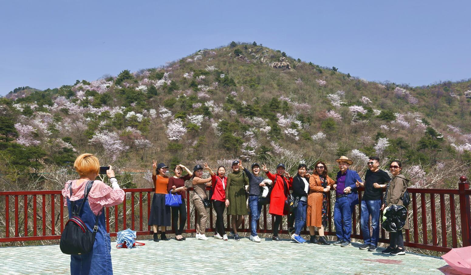 随州：踏春赏花自在行 大洪山里正当时