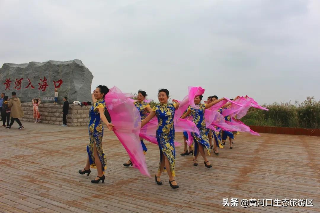 【黄河口生态旅游区】喜迎国庆 精彩纷呈