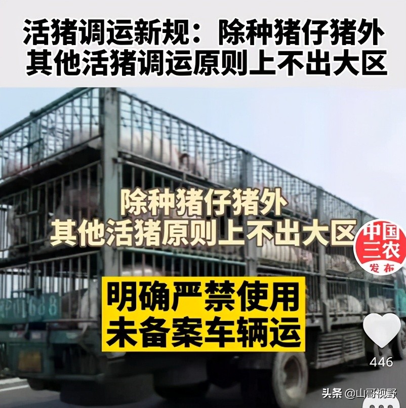 4月1日起，我国活猪不能异地调运了？不是的，是