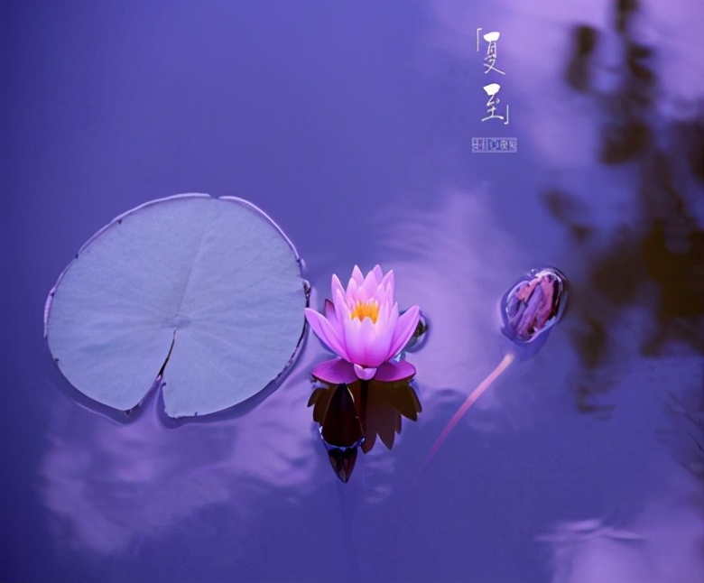 2021夏至节日祝福语大全 夏至节气的微信祝福语