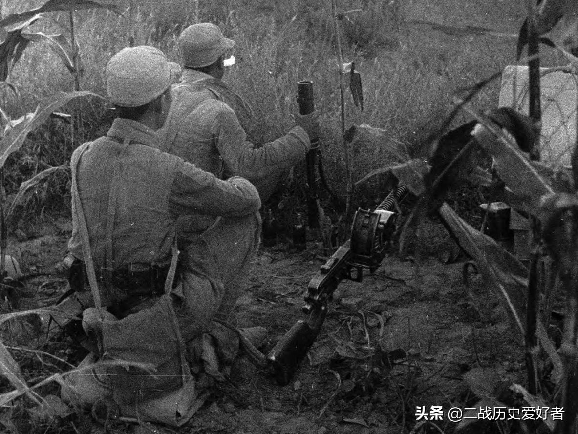 实拍躲在高粱地打伏击的八路军，跟我们在电视