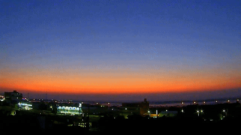 推粪球之前，屎壳郎为什么要跳舞？