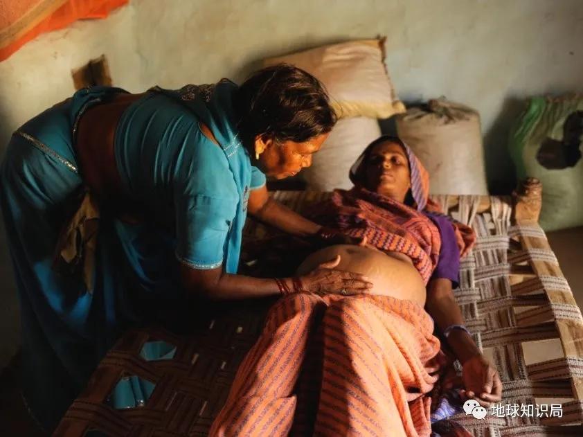 代孕工廠，在這裏 | 地球星空体育官网入口网站局