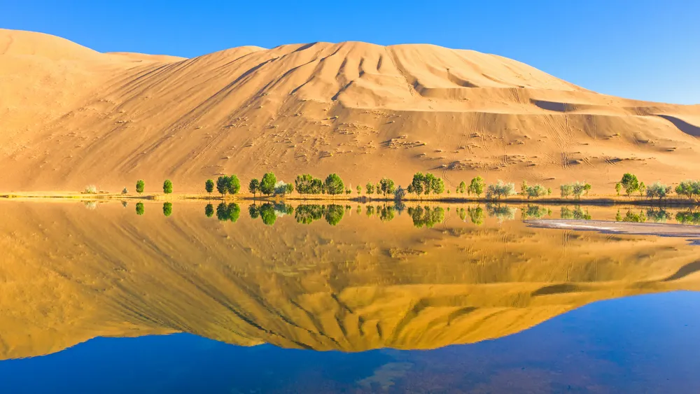 这不仅是中国最美丽的沙漠，可以说是世界最美丽的沙漠